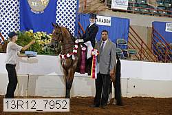 13r12_7952 proof