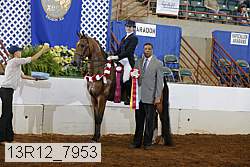 13r12_7953 proof
