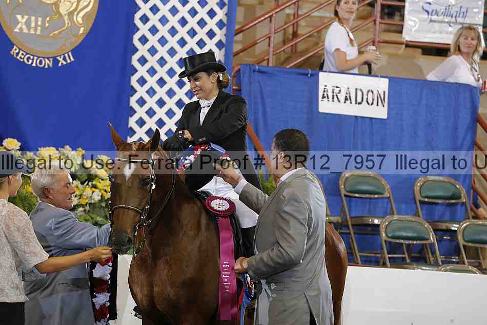 Proof 13r12_7957
