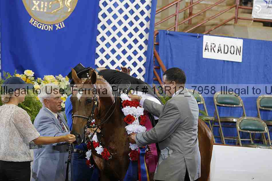 Proof 13r12_7958