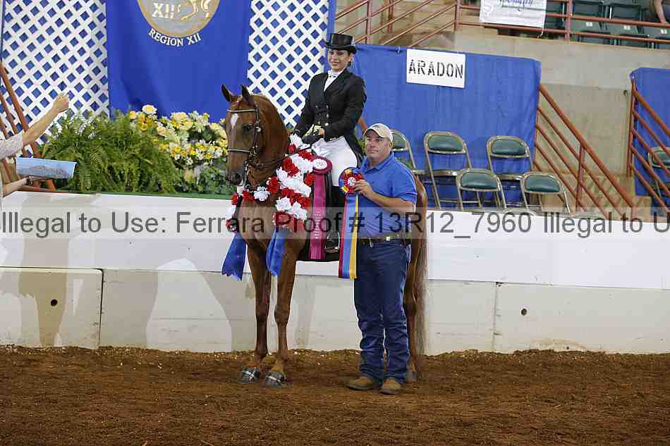 Proof 13r12_7960