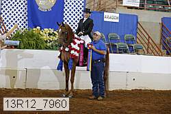 13r12_7960 proof