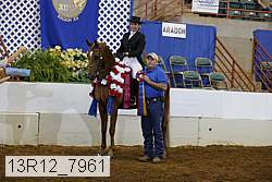 13r12_7961 proof