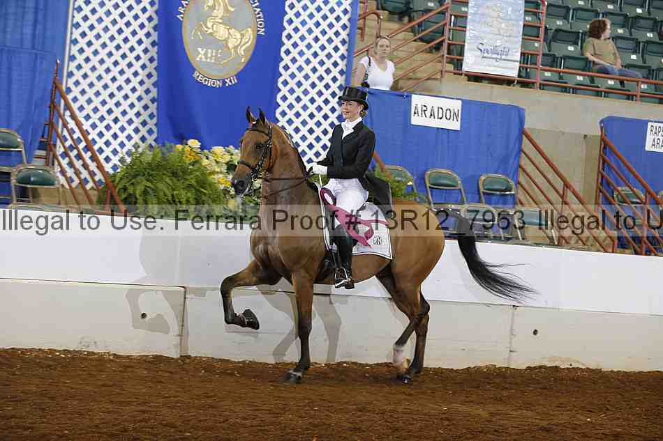 Proof 13r12_7963