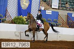 13r12_7963 proof