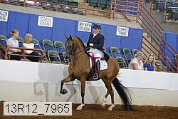 13r12_7965 proof