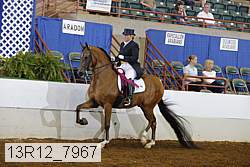 13r12_7967 proof