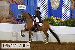 13r12_7968 proof