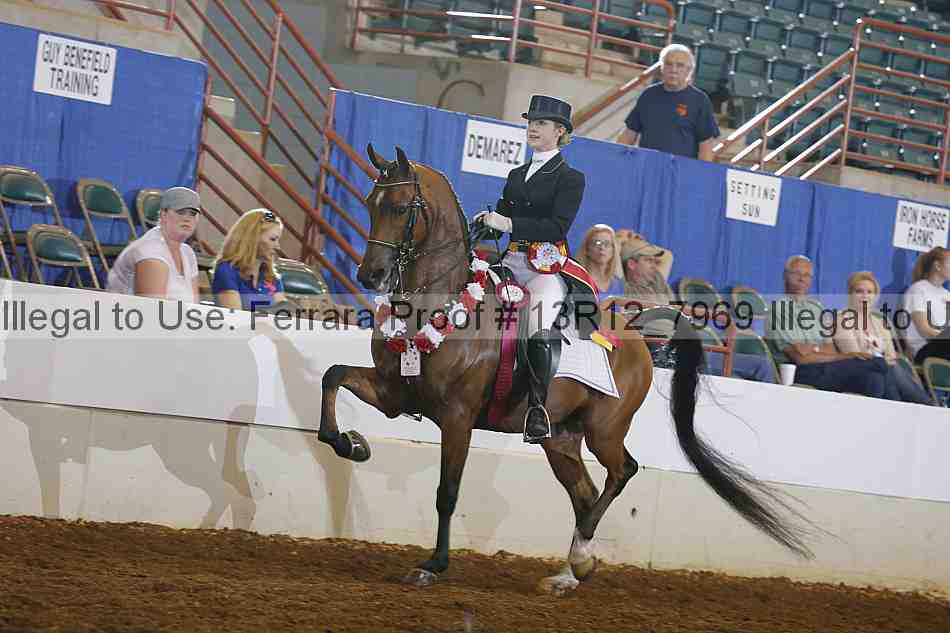 Proof 13r12_7969