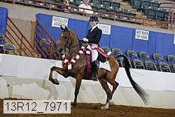 13r12_7971 proof