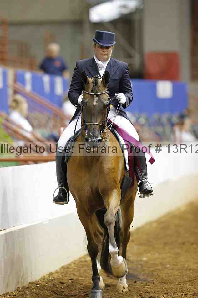 Proof 13r12_7972
