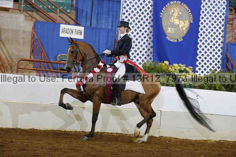 Proof 13r12_7973