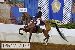 13r12_7973 proof