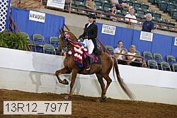 13r12_7977 proof