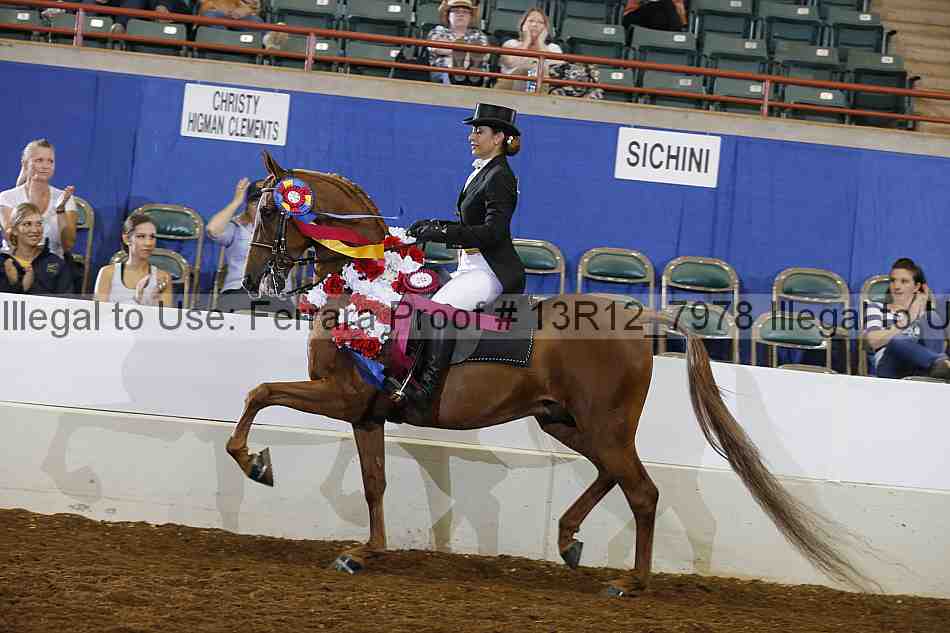 Proof 13r12_7978