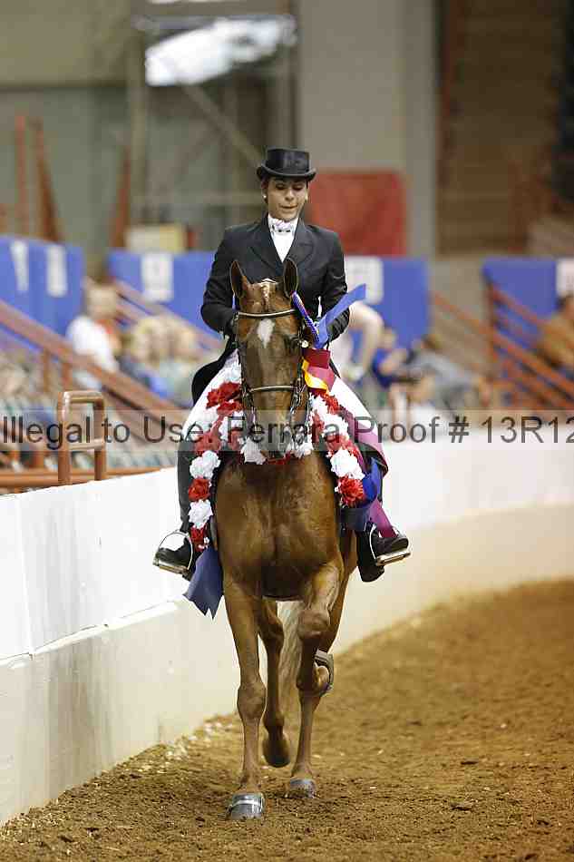 Proof 13r12_7981