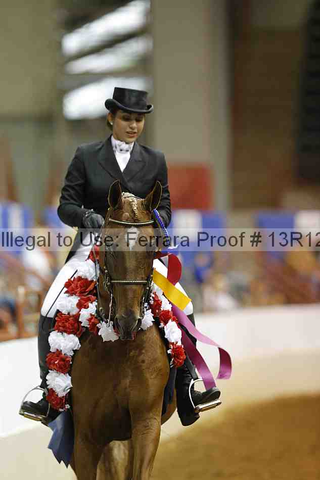 Proof 13r12_7982