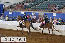 13r12_7984 proof