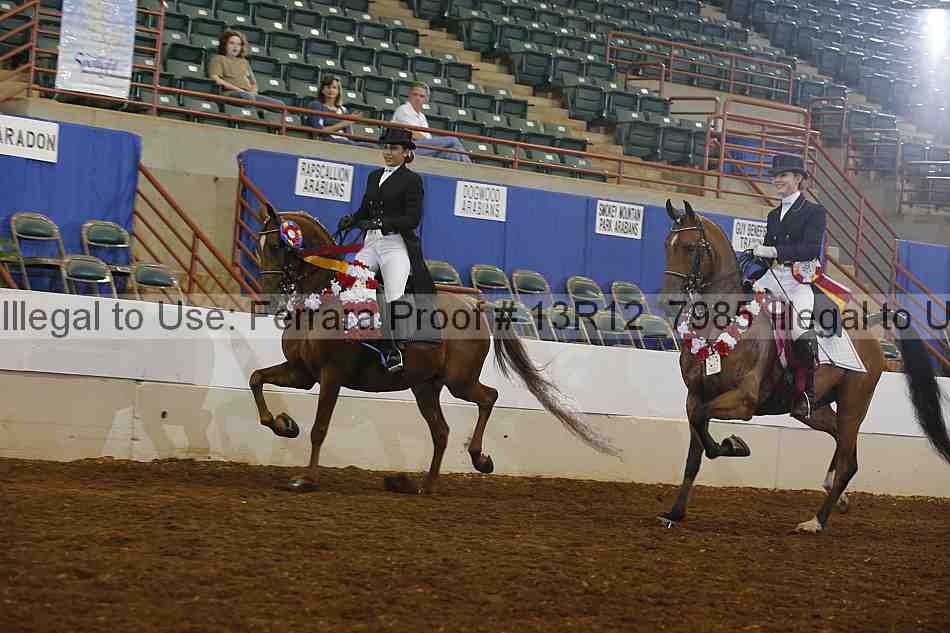 Proof 13r12_7985
