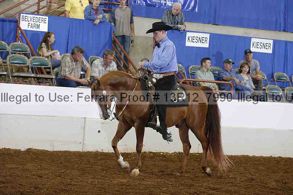 Proof 13r12_7990