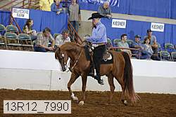 13r12_7990 proof
