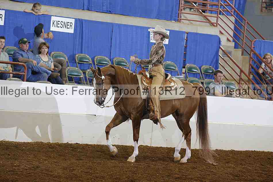 Proof 13r12_7991