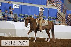 13r12_7991 proof
