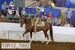 13r12_7992 proof