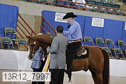 13r12_7997 proof