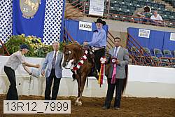 13r12_7999 proof