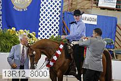 13r12_8000 proof