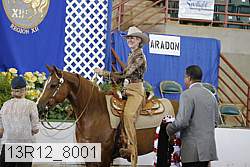 13r12_8001 proof
