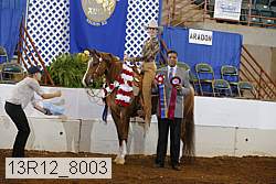 13r12_8003 proof