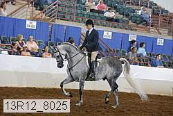 13r12_8025 proof