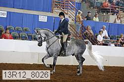 13r12_8026 proof