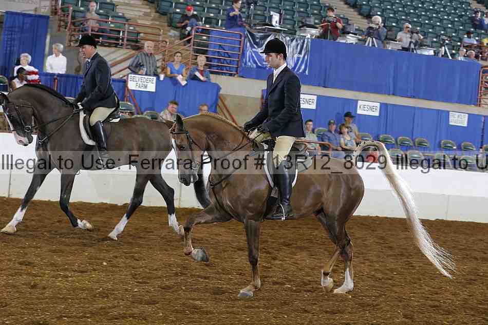 Proof 13r12_8029