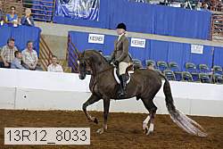 13r12_8033 proof