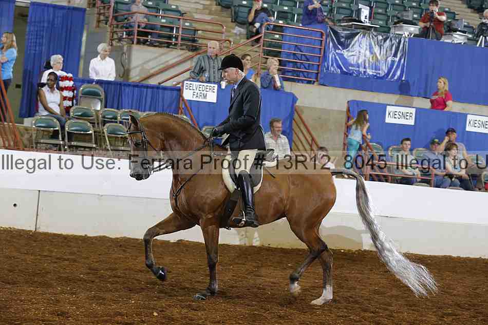 Proof 13r12_8045