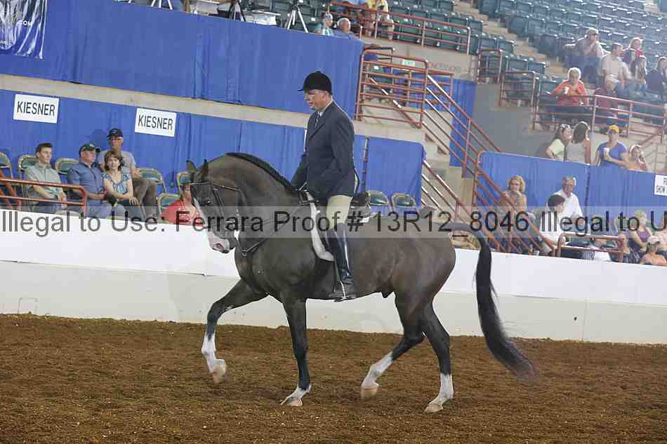 Proof 13r12_8046