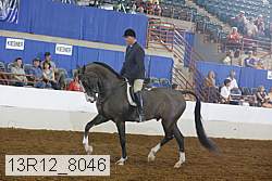 13r12_8046 proof