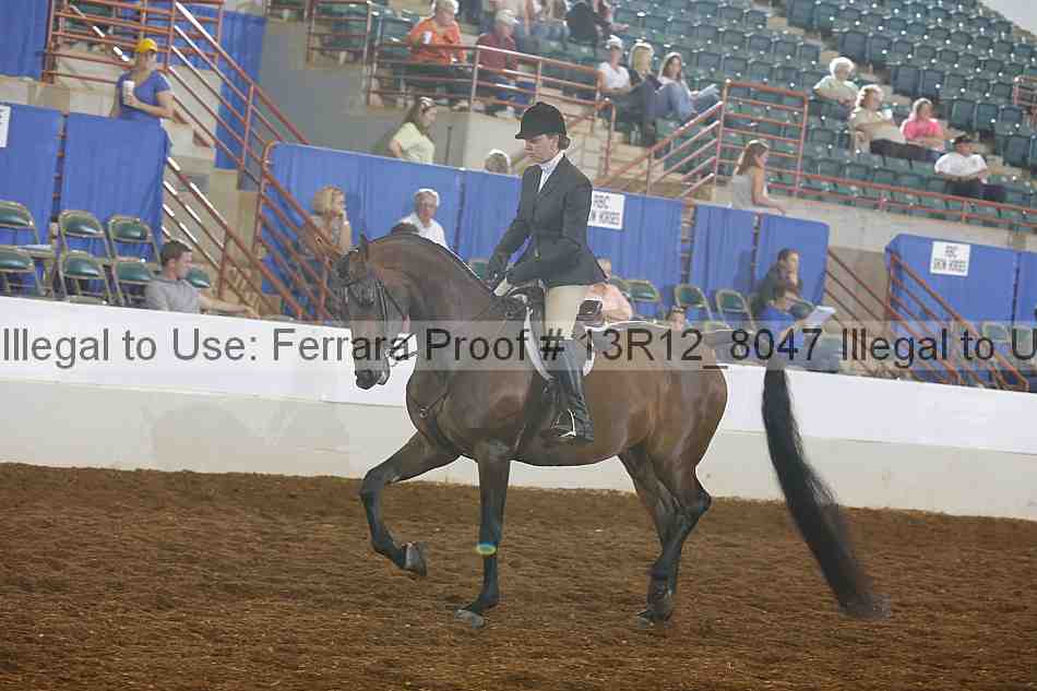 Proof 13r12_8047
