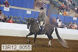 13r12_8055 proof