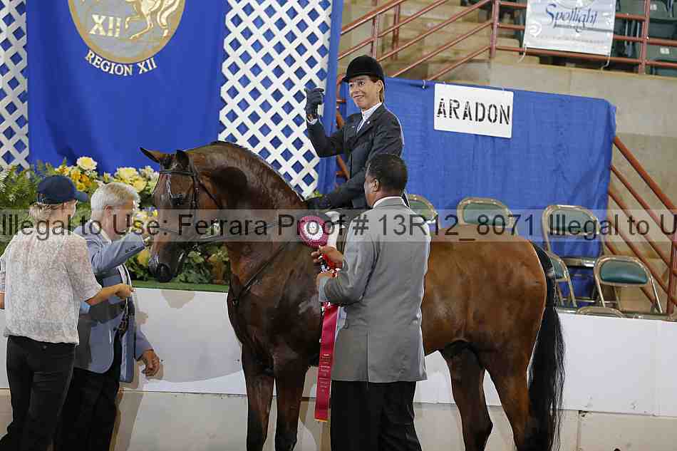 Proof 13r12_8071