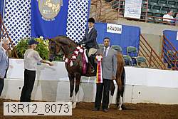 13r12_8073 proof
