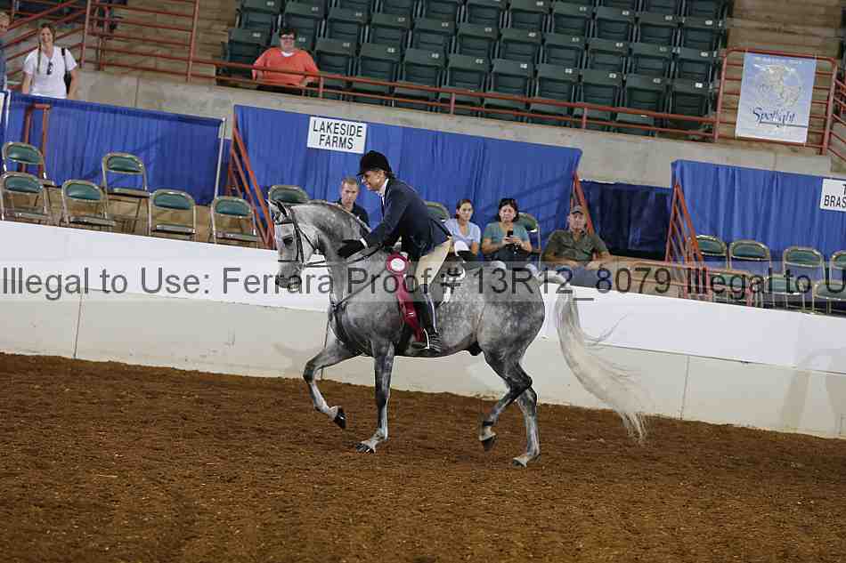 Proof 13r12_8079