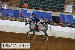 13r12_8079 proof