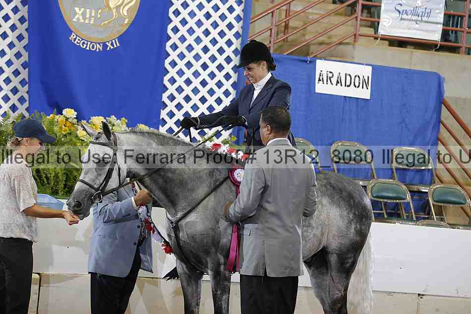 Proof 13r12_8080