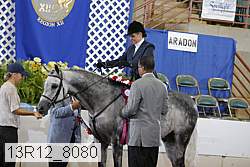 13r12_8080 proof