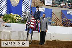 13r12_8081 proof