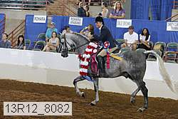13r12_8082 proof